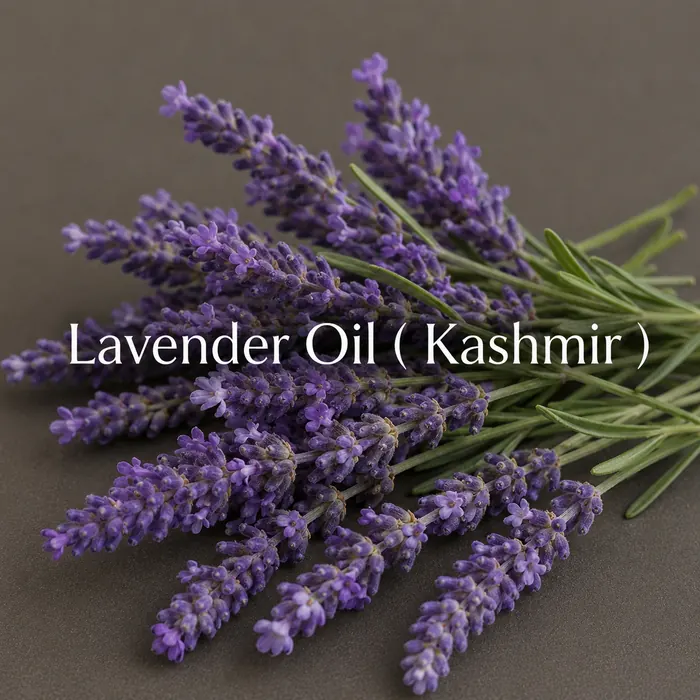Lavender Oil (Kashmir)