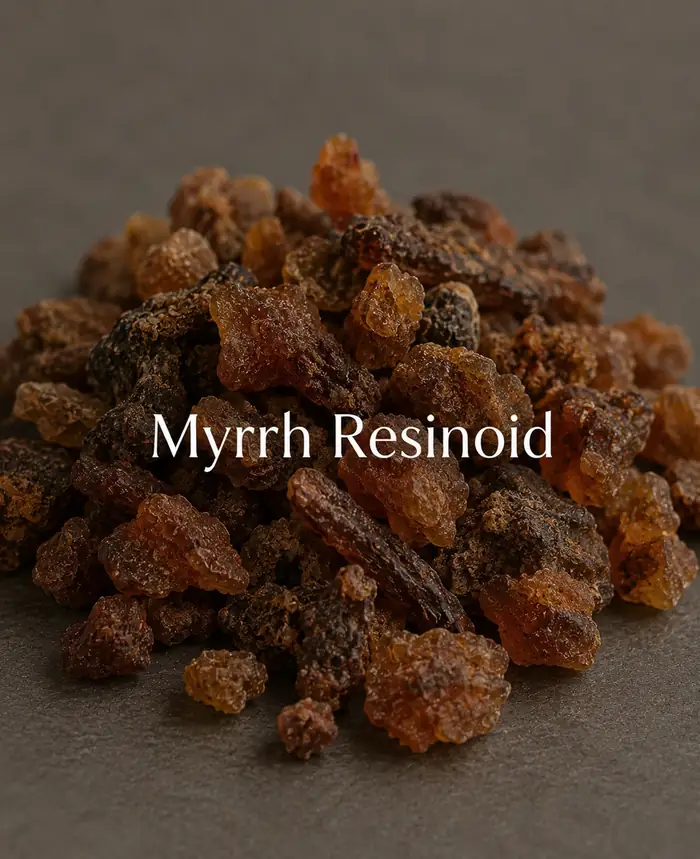 Buy Myrrh Resinoid (Commiphora myrrha) online — 100% pure natural absolute / oil from House of Absolutes KA, Kannauj