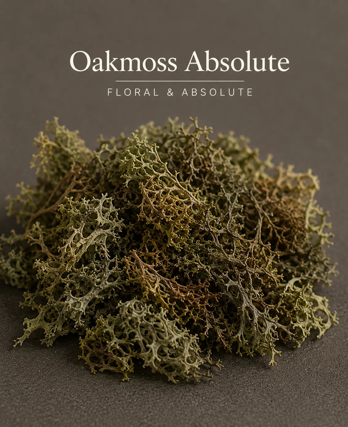 Buy Oakmoss Absolute Online — Pure Evernia Prunastri Absolute