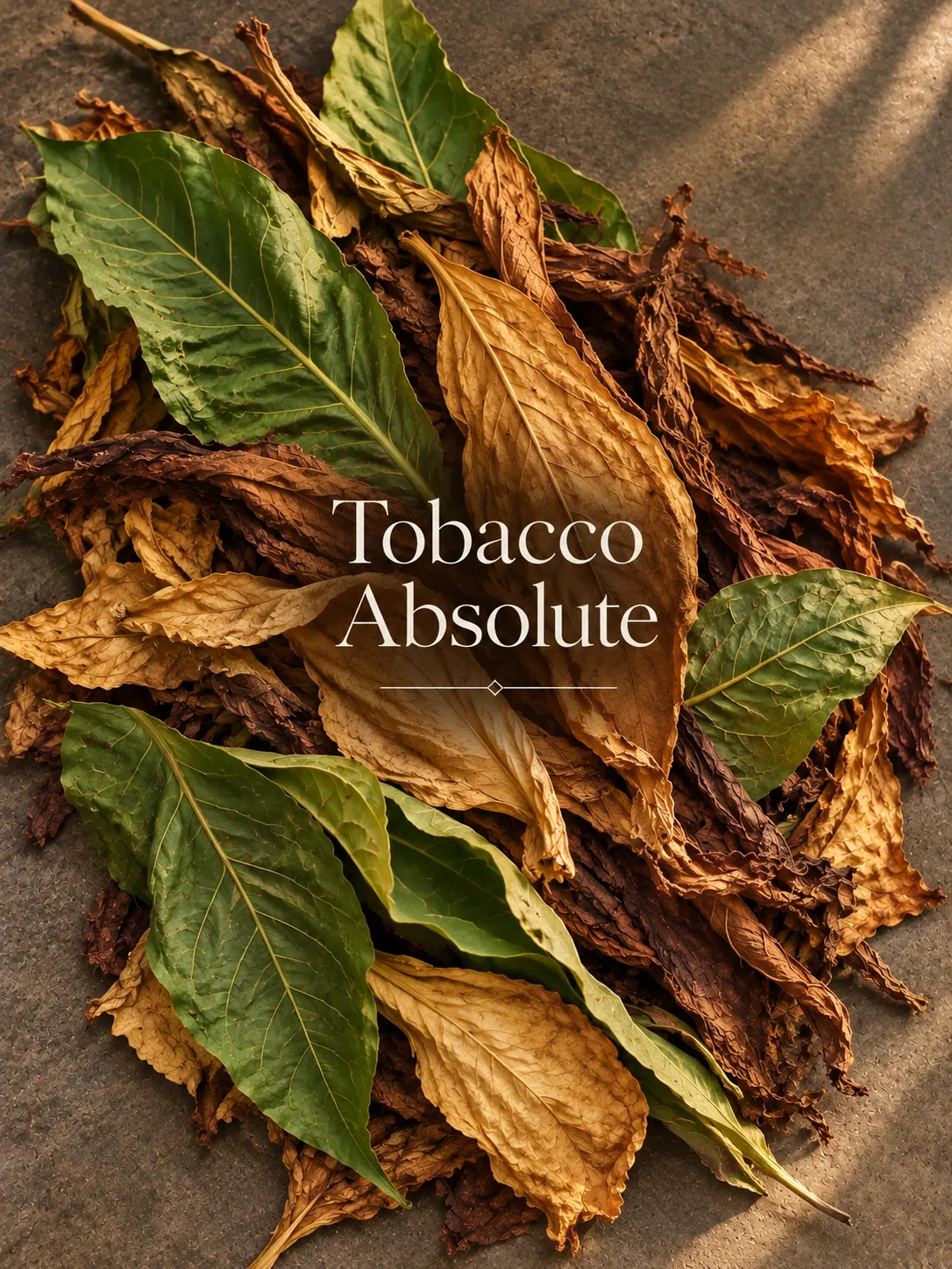 Buy Tobacco Absolute  online — pure natural oil from House of Absolutes KA, Kannauj