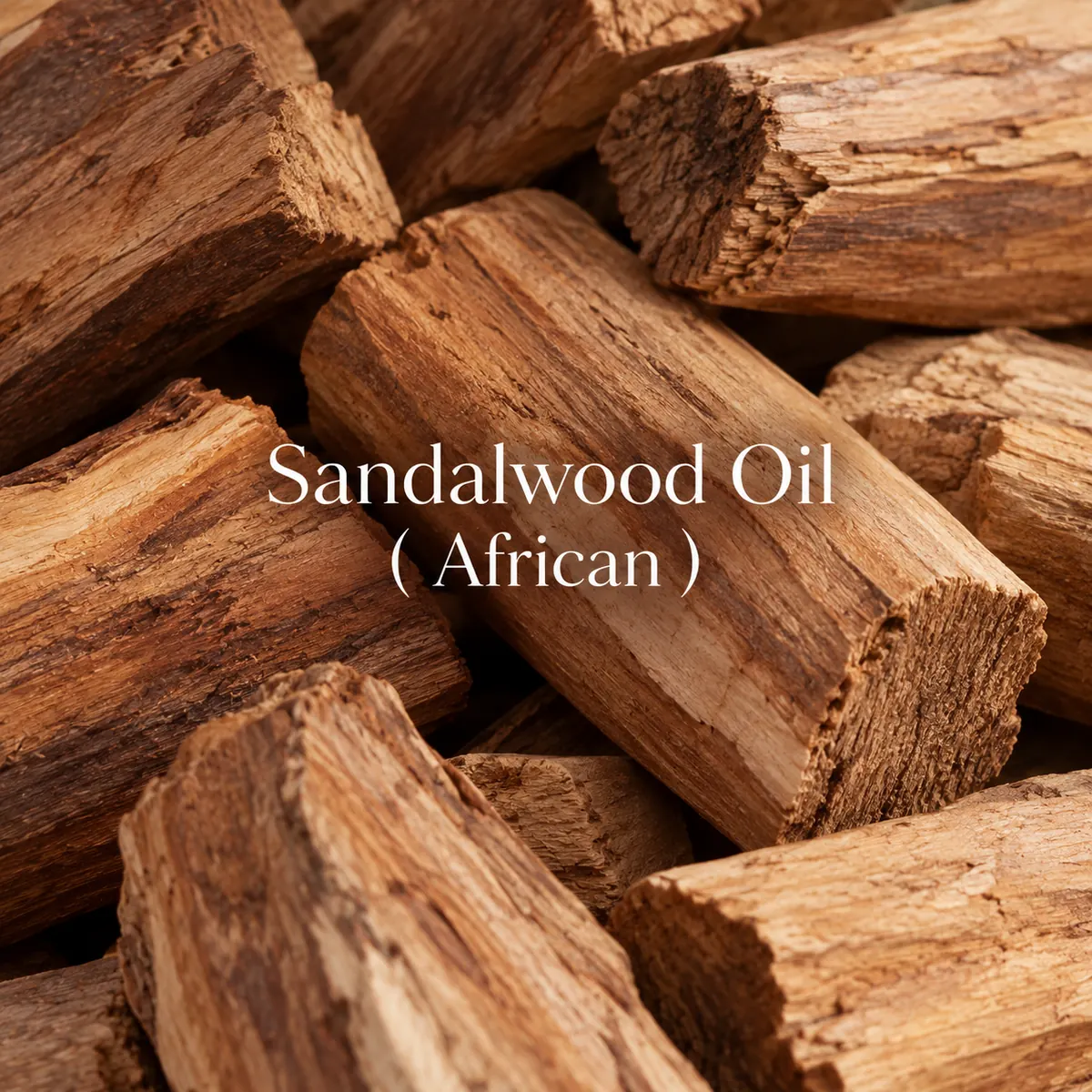 Buy Sandalwood African  (Osyris lanceolata Hochst. & Steud.) online — pure natural oil from House of Absolutes KA, Kannauj