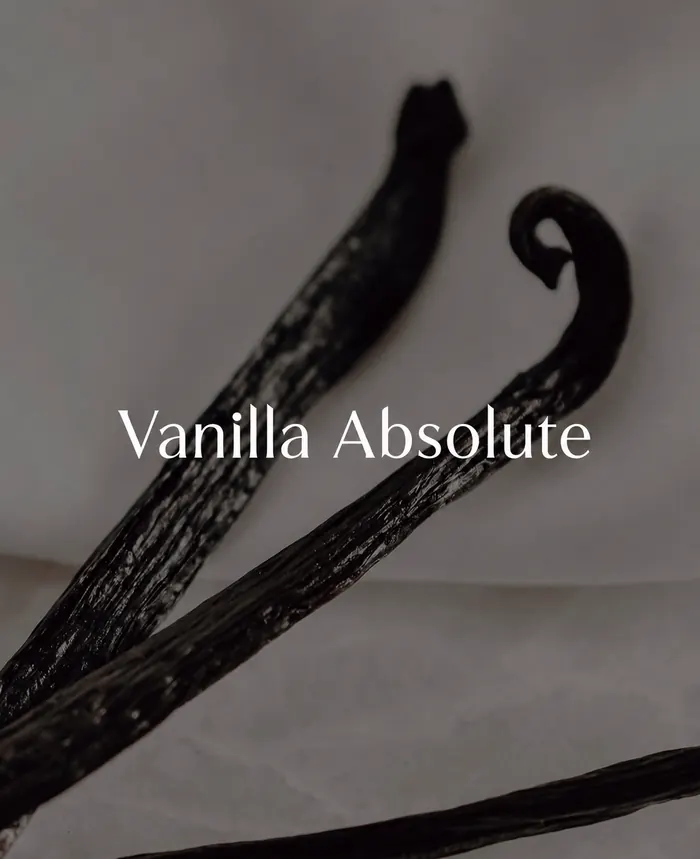 Vanilla Absolute