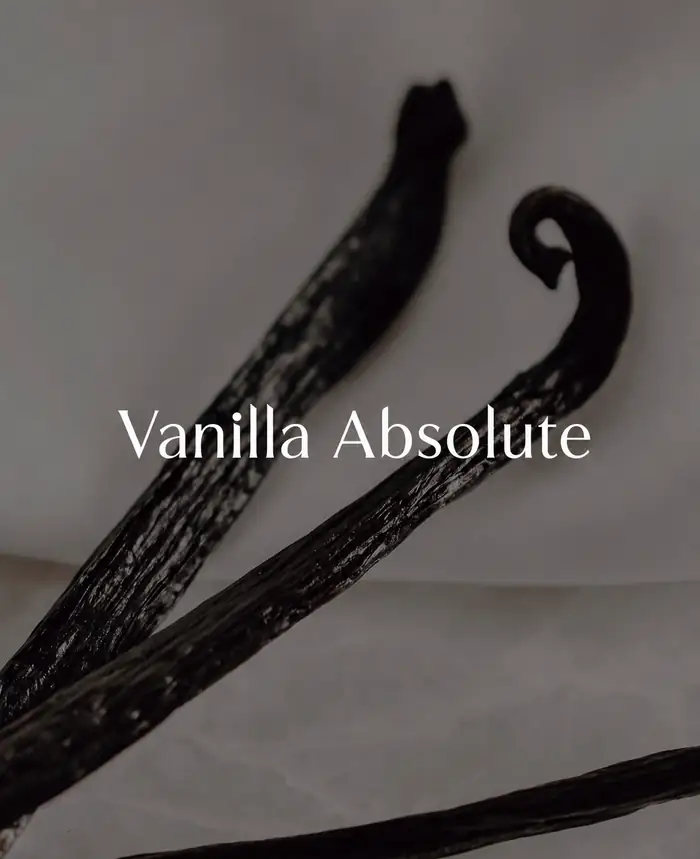Buy Vanilla Absolute (Vanilla planifolia) online — 100% pure natural absolute / oil from House of Absolutes KA, Kannauj