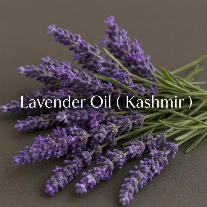 Buy Lavender Oil (Kashmir) (Lavandula angustifolia) online — 100% pure natural from Kannauj